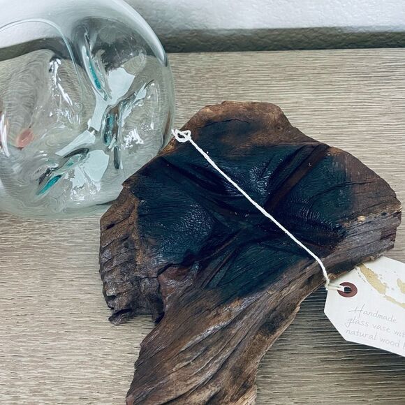 Molten Glass Vase on Driftwood Base Terrarium Decor - Picture 5 of 5